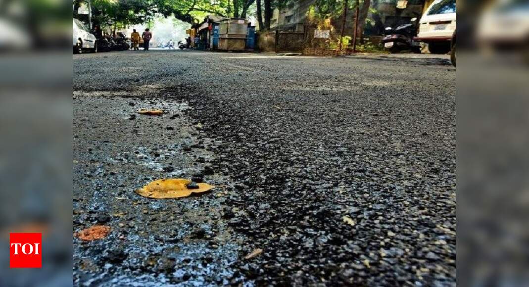 Himachal first in country to use plastic waste in roads, project