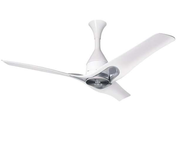 Lg Smart Fan Lg Launches New Range Of Smart Ceiling Fans At Rs