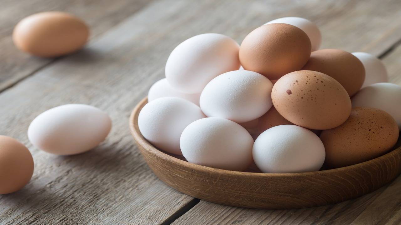 Brown Eggs Vs White Eggs: What Is Better For You? - Times of India
