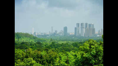 Bombay high court can't decide on declaring Aarey a forest as matter before Supreme Court: Maharashtra