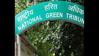 NGT directs DPCC to submit report on plea alleging pollution by factory in Delhi's RK Puram