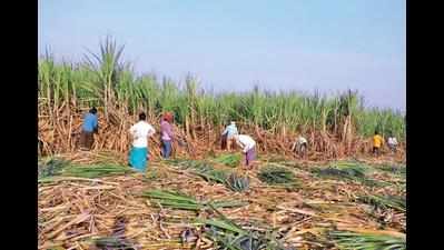 FIR against 9 mills over anomalies in payment of cane dues to farmers