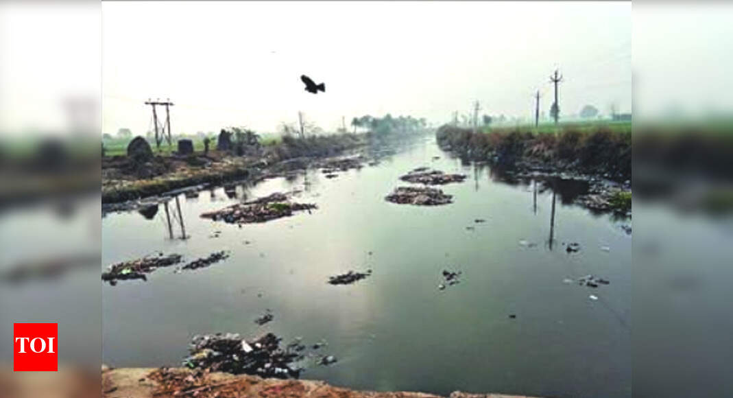 UP Alarming levels of hormonedamaging chemical found in Ganga