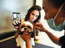 Basic grooming not enough, pet styling in demand now among NCR's pet parents