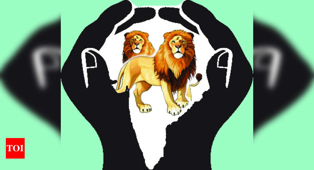 9-gay-pride-now-in-a-pride-of-lions-times-of-india