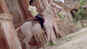 Bhojpuri actor Pawan Singh's new song 'Mere Marad Mahoday Ji' from movie 'Sher Singh' is out