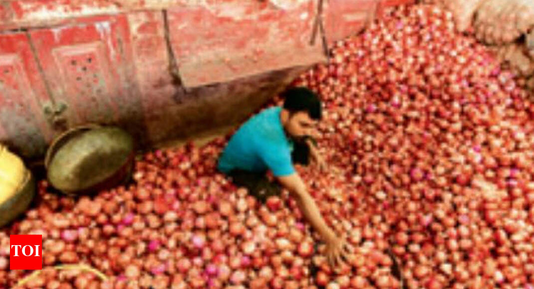 Onion shortage likely in Gujarat after Diwali Rajkot News Times of