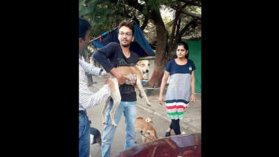 Surat: NGO vaccinates 70 stray dogs