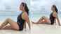 Bhojpuri queen Rani Chatterjee flaunts her toned body in this black monokini!
