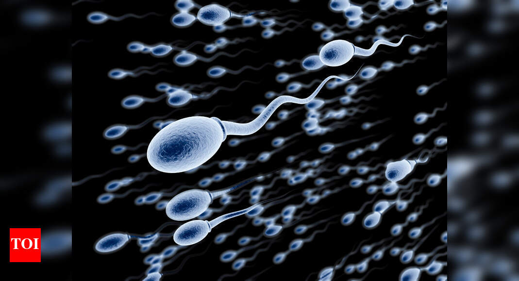 8 common causes of low sperm count or Oligospermia Times of India