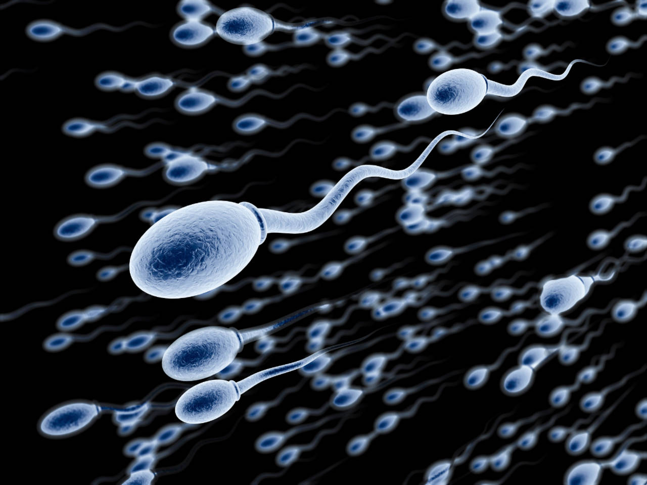 8 common causes of low sperm count or Oligospermia pic