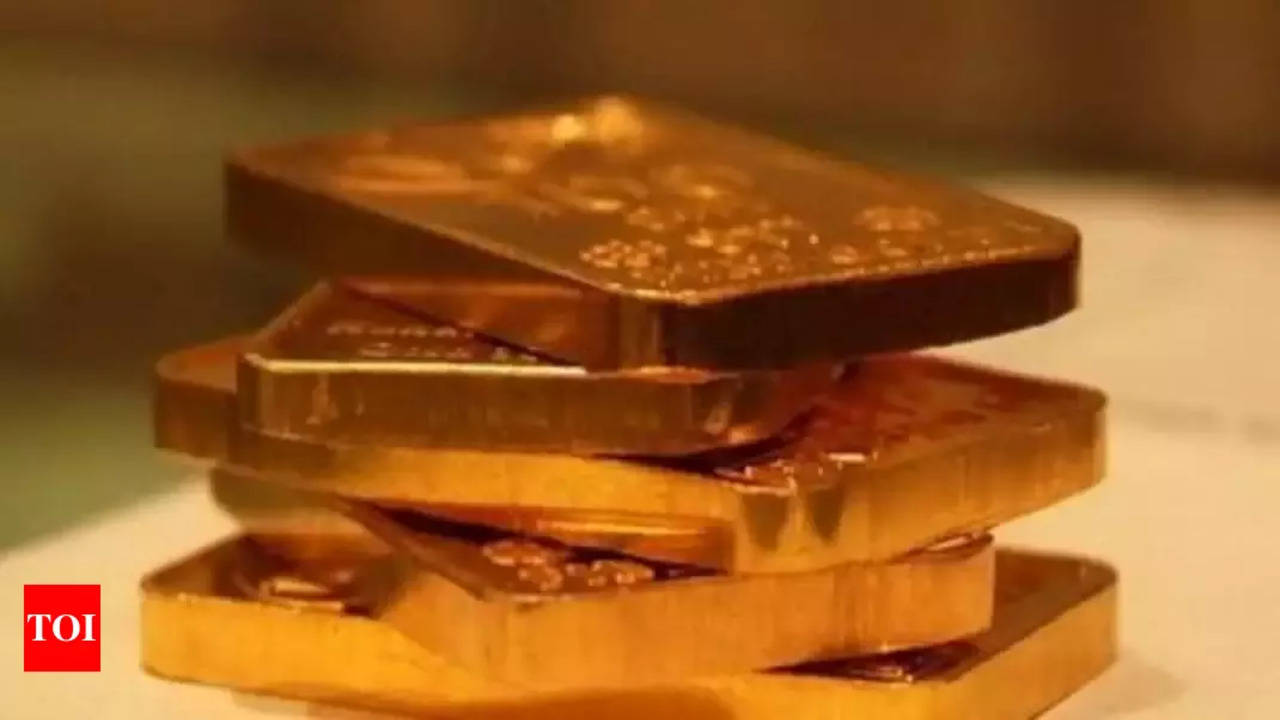 Tamil Nadu: Gold worth Rs 7 lakh seized at Trichy airport - HW News English