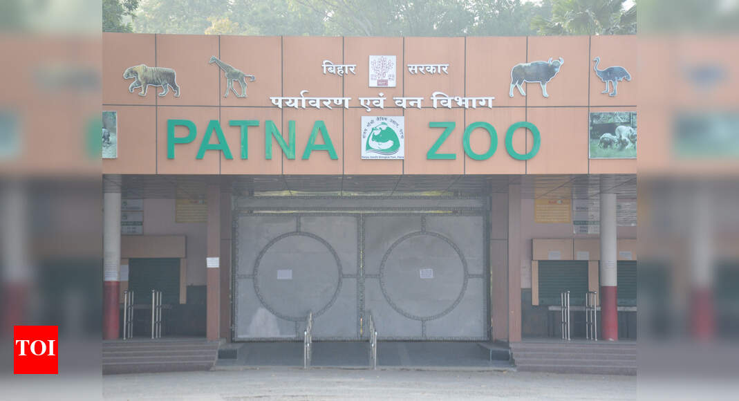 Meet 24 new inmates on your next visit to Patna zoo Patna News