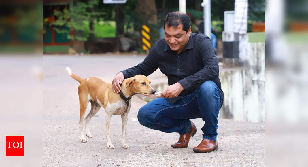 Home alone, this dog gets her food delivered online