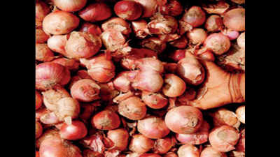Onions worth Rs 1 lakh stolen from farmer's store house in Nashik