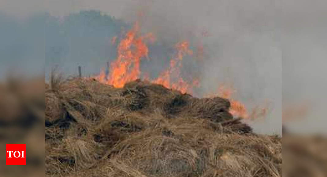 How Delhi Reacts To Crop Burning Delhi News Times Of India 3043