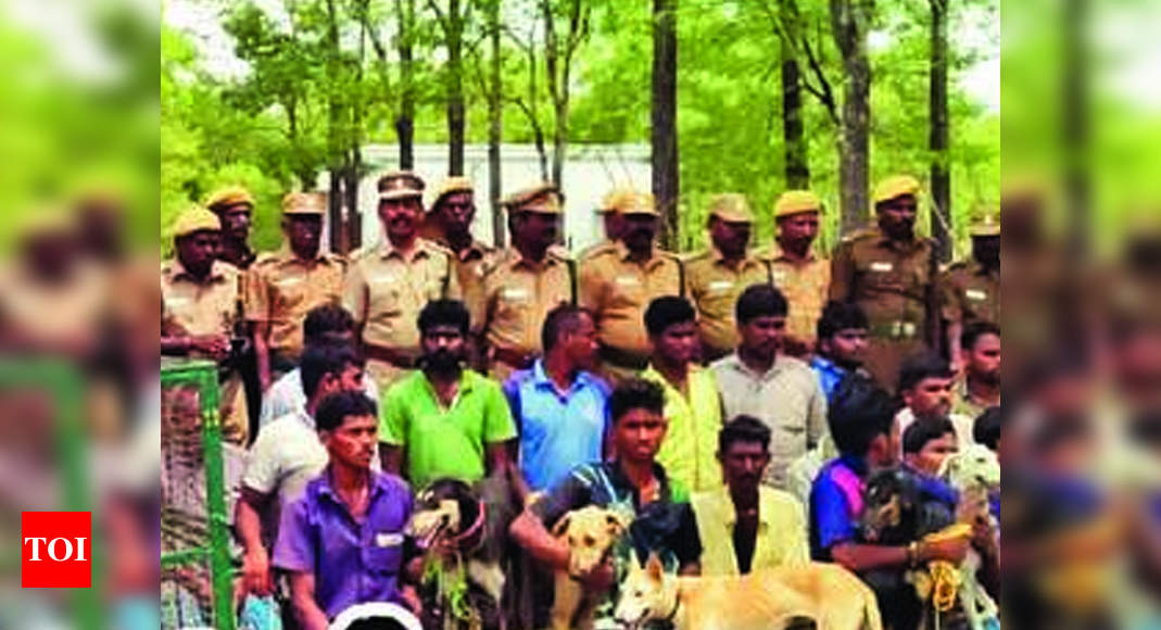 Trichy forest officials draw flak as poachers get bail in 48 hours ...