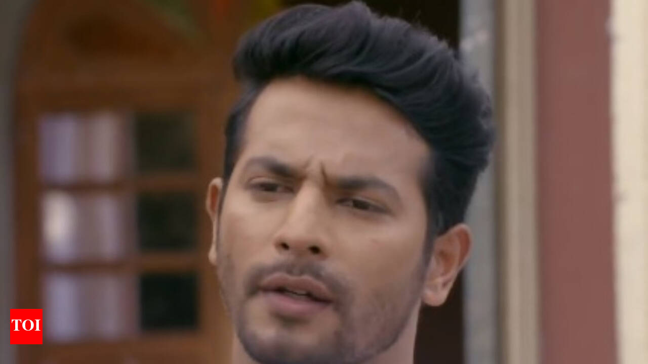 Tujhse Hai Raabta written update, September 24, 2019: Malhar tells everyone about the car | - Times of India