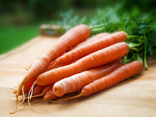 are carrots good for a taigan