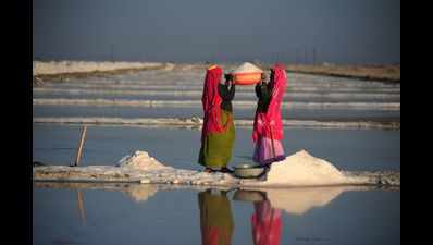 Rajasthan government set to take over Sambhar Salts from Centre
