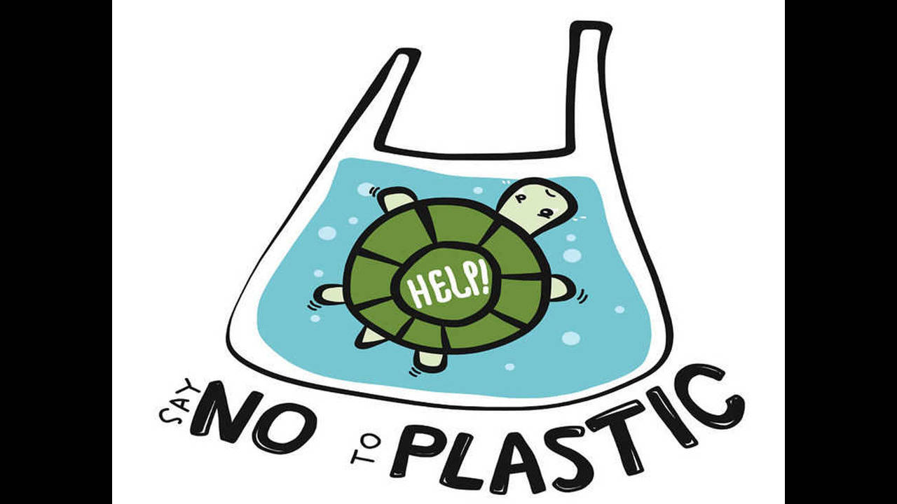 Poster on say No to plastic | Buddha art drawing, Art poster design, Poster  drawing