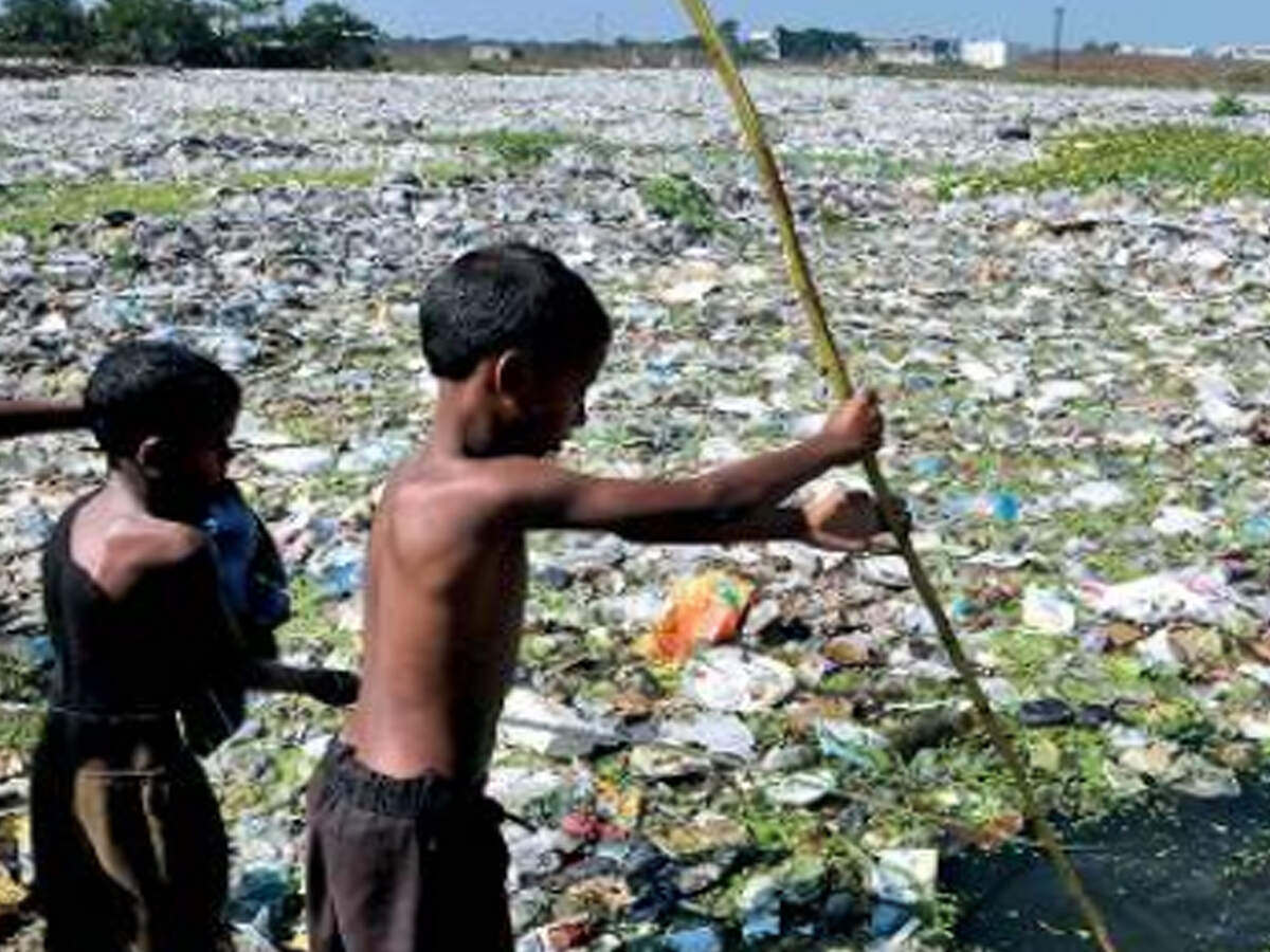 single use bolsa ban