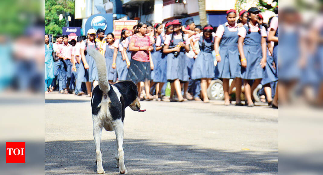Goa tipped to beat national rabies-free deadline | Goa News - Times of ...