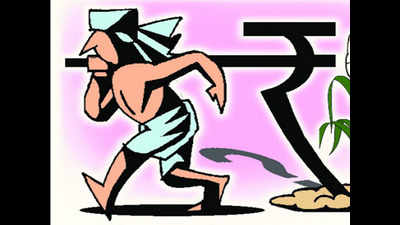 Long-term loans of 1,627 Jaipur farmers waived