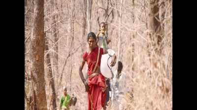 Telangana: Law students to educate Nallamala folk of their rights