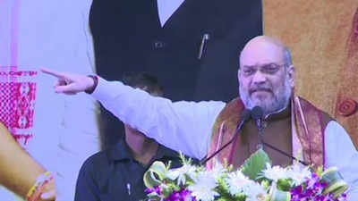 Each and every infiltrator will be shown the door: Amit Shah