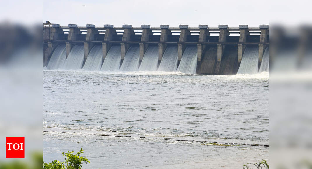 Of total 204 dams in Gujarat, 114 are overflowing Ahmedabad News