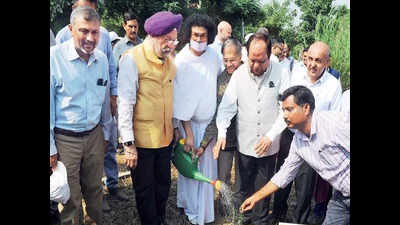 Within a few hours, Delhi gets 20,000 saplings
