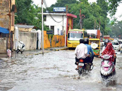 No help from civic bodies, Allahabad residents left to deal with ...