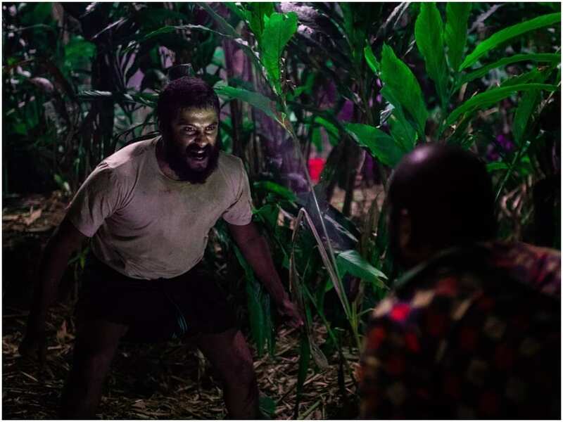 Jallikattu Audience Review Fans Tag Lijo Jose Pellissery S Film As An Insane Ride Malayalam Movie News Times Of India