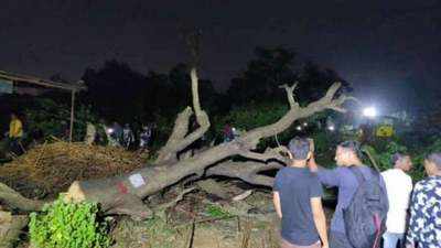 Aarey colony protest: 29 people booked for protesting against tree cutting
