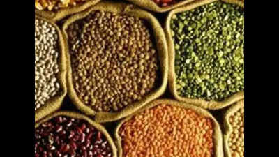 Rajasthan: Crop damage due to heavy rain pushes prices of pulses by 30%