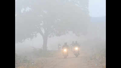 Winter just around the corner in Rajasthan, mercury dips