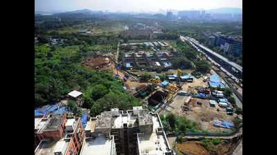 Aarey Colony: MMRCL claims it planted 24,000 trees; MD justifies 'destruction'