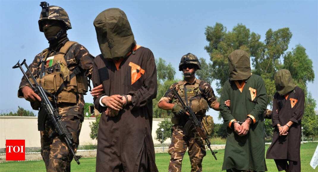 Taliban release three Indian engineers: Report