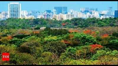 Smart City Ltd, BDA to develop ‘forest city’