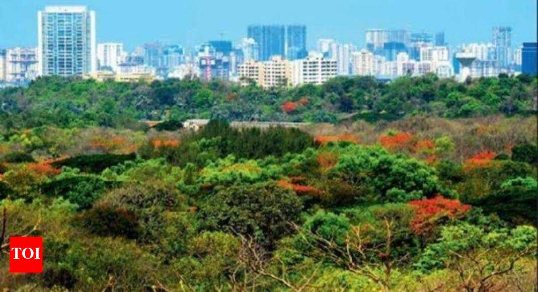 Smart City Ltd, BDA to develop ‘forest city’ | Bareilly News - Times of ...