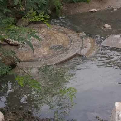 Sewage water creating havoc and hygiene issues