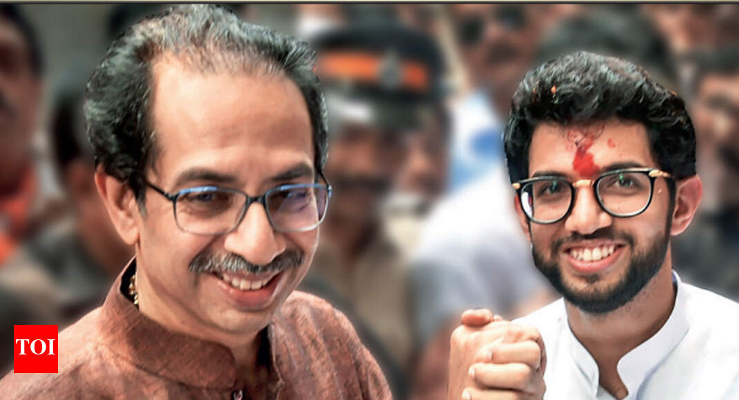 Aaditya new to politics, CMship can wait: Uddhav