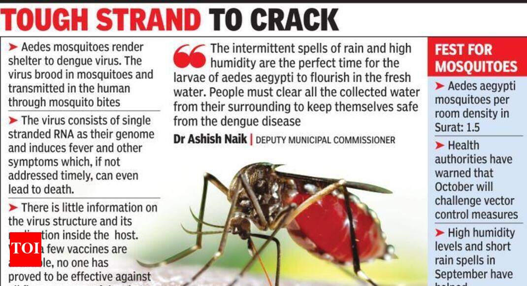 Surat: 700% rise in dengue cases since July