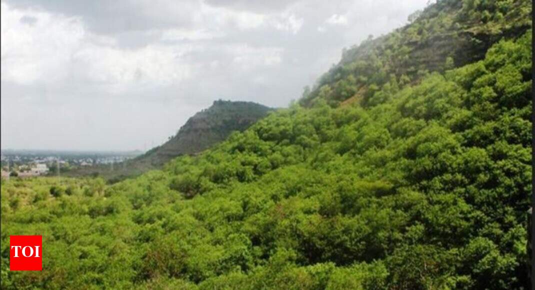 Government Plans 1 400km Long Great Green Wall Of India India News Times Of India