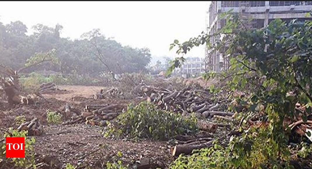 Cops refuse Aarey entry to animal, bird rescuers | India News - Times of India