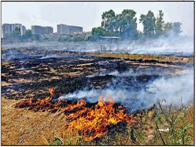 Farm Fires Rise As Paddy Harvest Gains Pace In Punjab | Ludhiana News ...