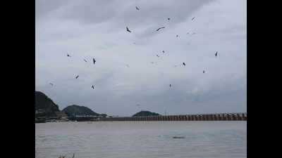More water drawn by AP from Krishna river: Telangana govt