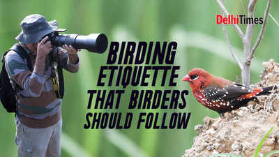 Birding etiquette that birders should follow