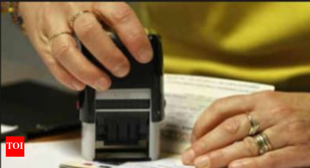 India relaxes e-visa rules for Chinese citizens